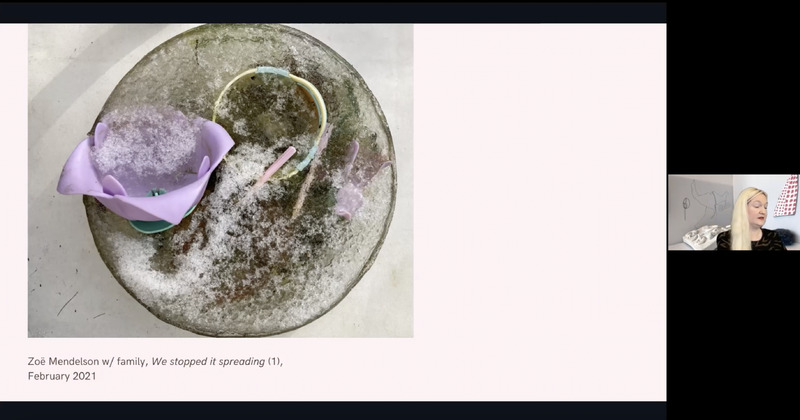 PART 2: The Virus & the Expanded Field: Screenshot/Zoë Mendelson