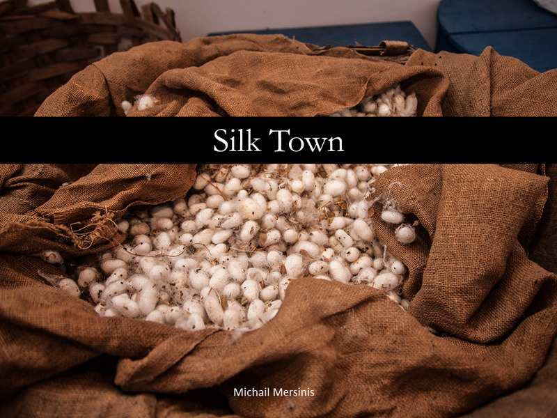 Mining the Animal - Silk Town