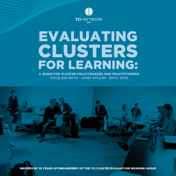 Evaluating Clusters for Learning: A guide for Cluster Policymakers and Practitioners