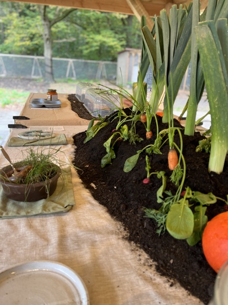 Dish the Dirt: Empowering people to make connections between the food they eat and the soil it is grown in.