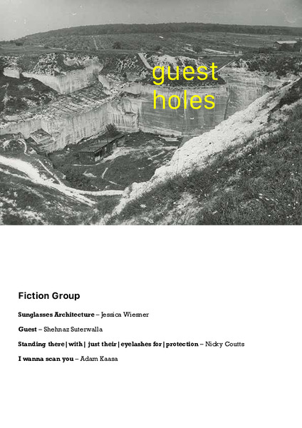 Guest Holes