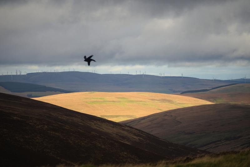 Landscape as a work of fiction (working title)