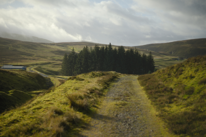 Landscape as a work of fiction (working title)