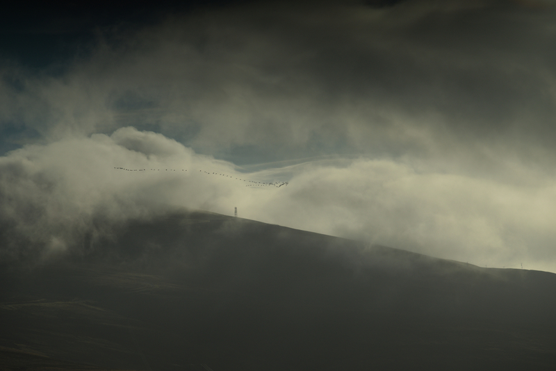 Landscape as a work of fiction (working title)