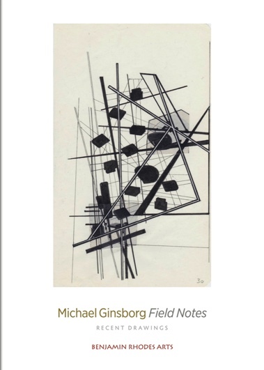 The Subtle Knife: Michael Ginsborg's Field Notes