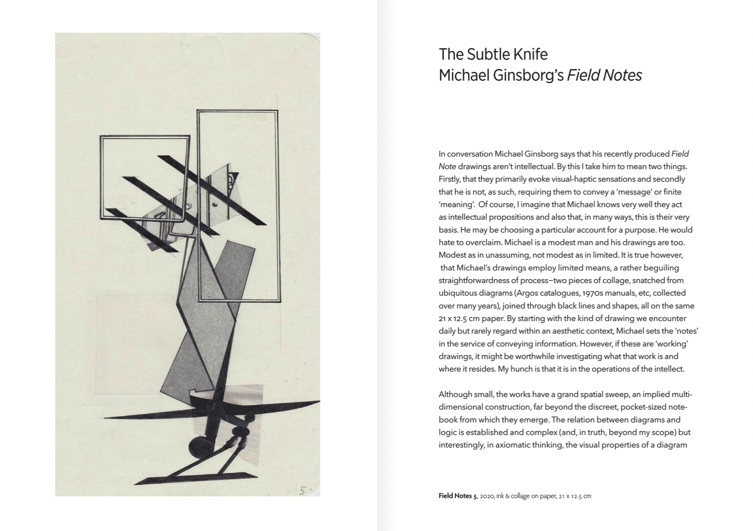 The Subtle Knife: Michael Ginsborg's Field Notes