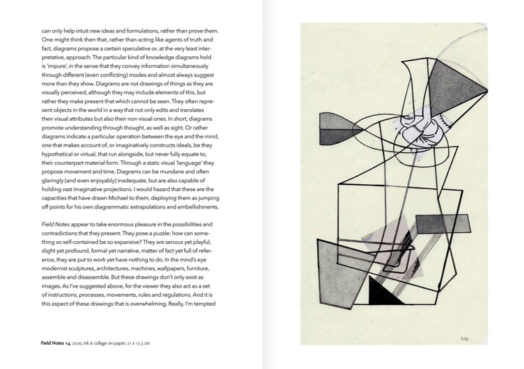 The Subtle Knife: Michael Ginsborg's Field Notes