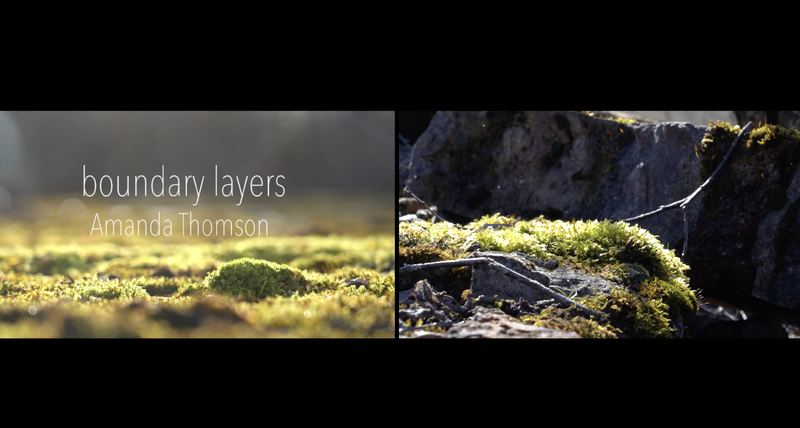 Boundary Layers