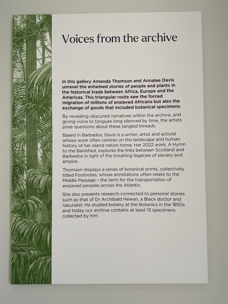 Twinflower/ Footnotes/ Preliminary Research