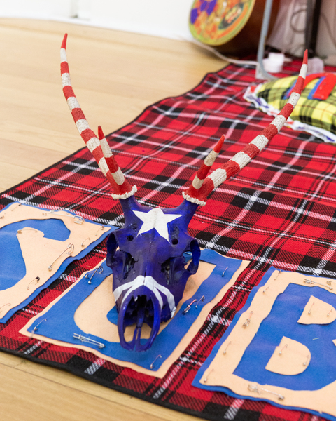 Decorative Picnic Blanket Display (with Sitooterie) produced by the Faslane and Coulport Chapter of The Real Life Nuclear and Philosophical Ramblers Research Society
Loch Long/Gareloch/Firth of Clyde 2023