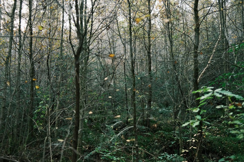 A Solitary Walk in the Dark