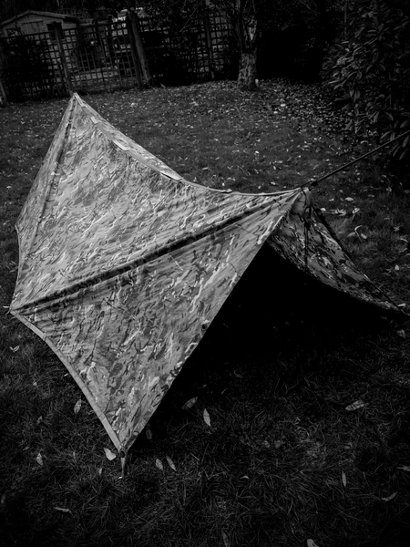Basha MTP (in situ / operational), Military pup tent 250cm x 180 cm  2022-2023