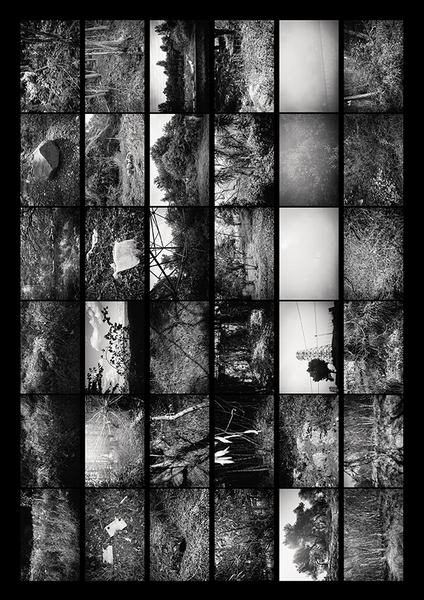 contact sheet of 36 sites