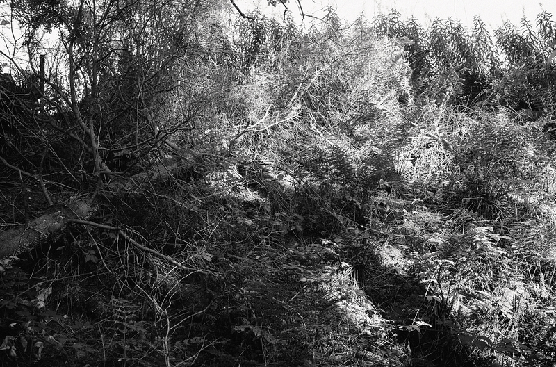 Intercept / Tool, Intercept / Proof (diptych)