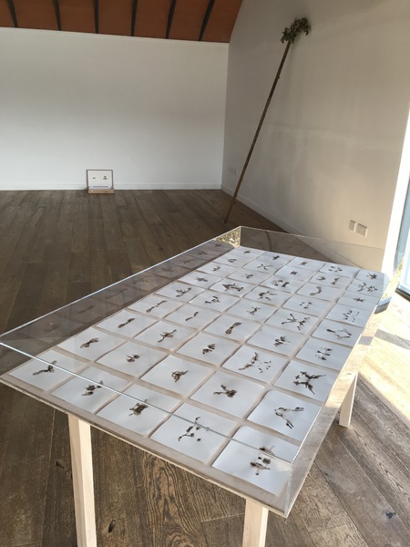 installation view