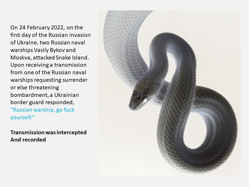 Transmissions for Ukraine: Art as Weapon and Tool of Change