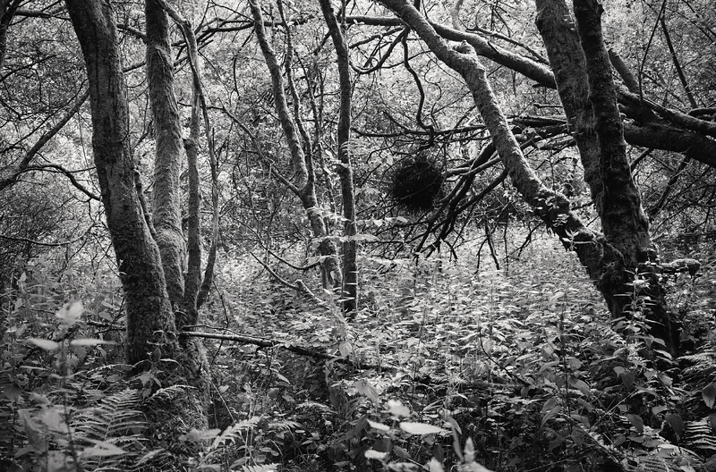 Featured Artist: Michael Mersinis
