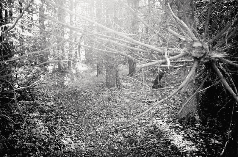 Featured Artist: Michael Mersinis