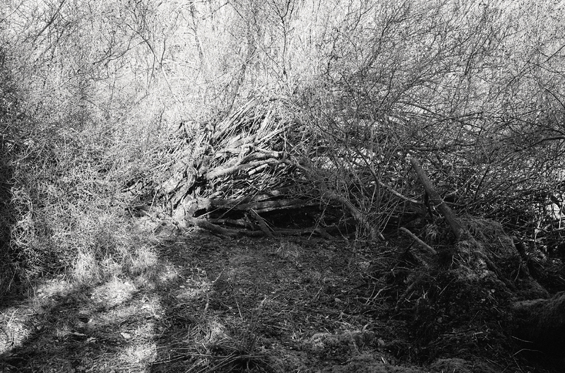 Featured Artist: Michael Mersinis