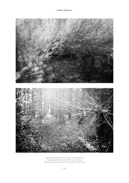 Featured Artist: Michael Mersinis