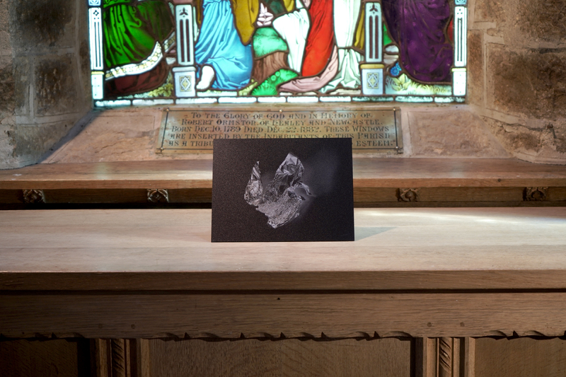 Betwixt (swan), 2024, direct print on brushed aluminium, 27 x 21.2cm, 1/1