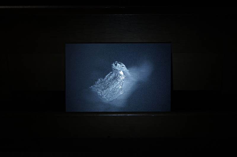 Cradled softly (palm), 2024, direct print on brushed aluminium, 25.5 x 17.5cm, 1/1
