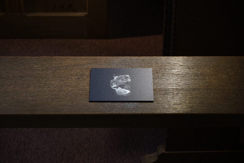 Shell, 2024, direct print on brushed aluminium, 15 x 10cm, 1/1