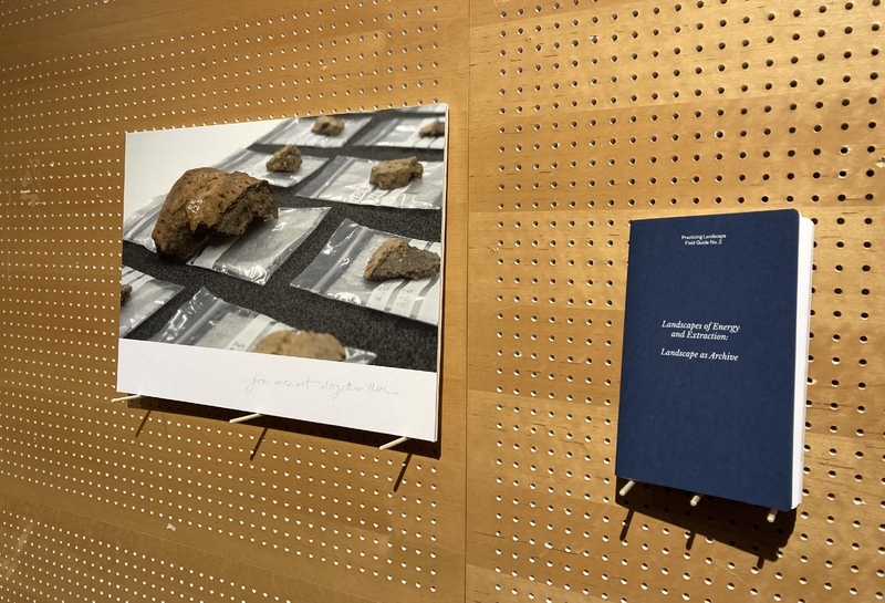 Sherds and bags