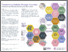 [thumbnail of diabetes poster HSRUK PRINT.pdf]